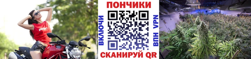 Что такое Мичуринск Гашиш  COCAIN  Меф мяу мяу  А ПВП  Канабис 