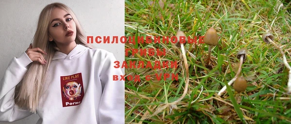 jwh Алзамай