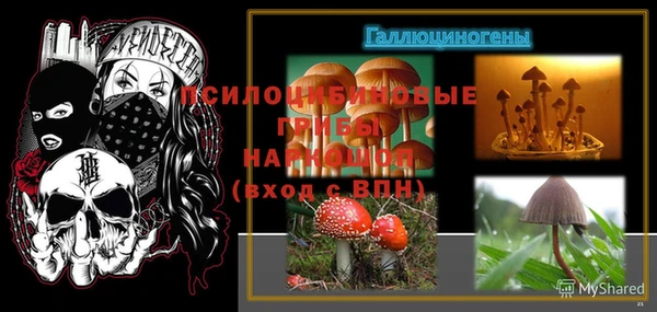 гидропоника Алексеевка